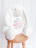 Load image into Gallery viewer, Embroidered Birth Detail / Announcement Teddy Bear