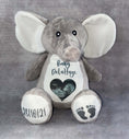 Load image into Gallery viewer, Baby Announcement Scan Photo Teddy