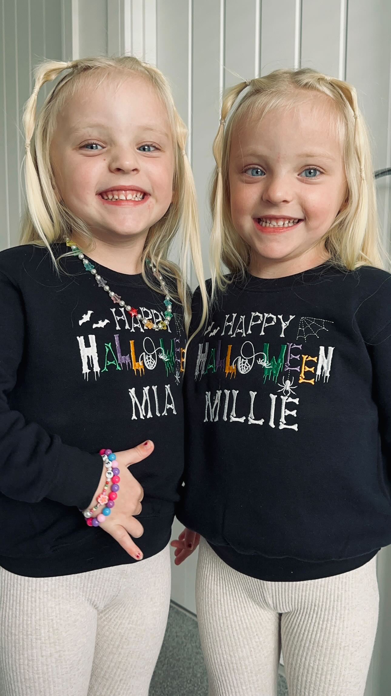 Embroidered Happy Halloween Spooky Spider Sweatshirt / Jumper