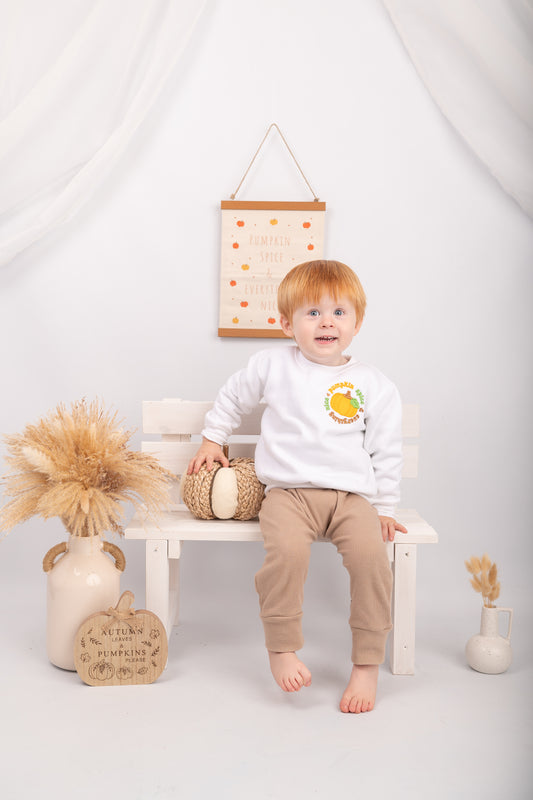 Embroidered Pumpkin Spice & Everything Nice Halloween Sweatshirt