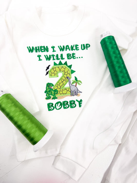 Dinosaur Birthday Eve - Embroidered Lounge set