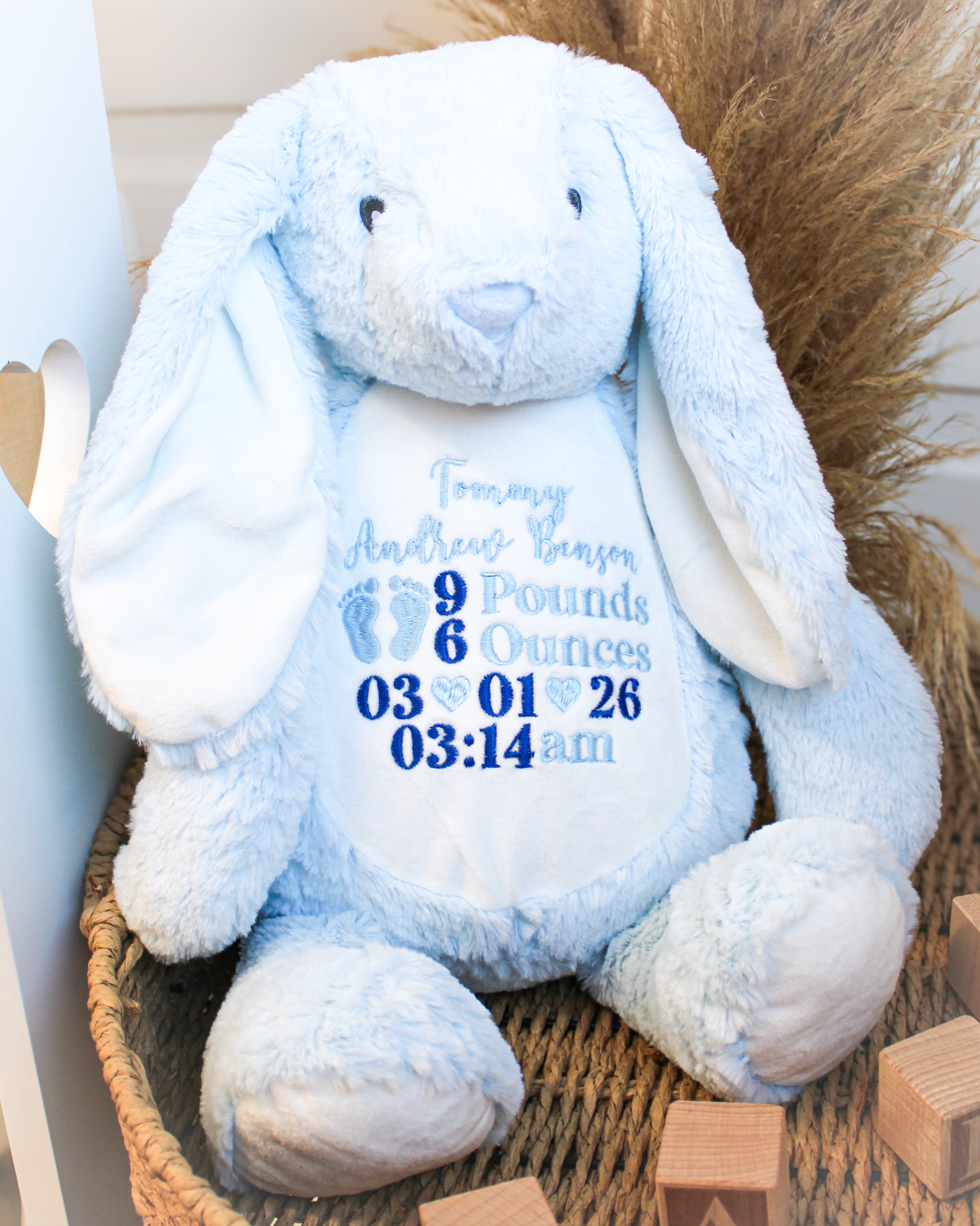 Embroidered Birth Details Teddy Bear